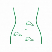 Hirudoterapia